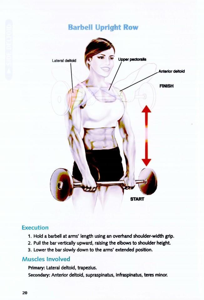 The Anatomy of Bodybuilding - photo 21