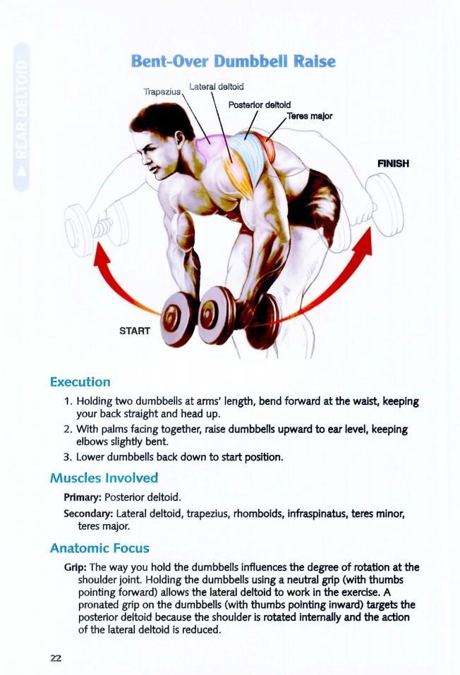 The Anatomy of Bodybuilding - photo 23