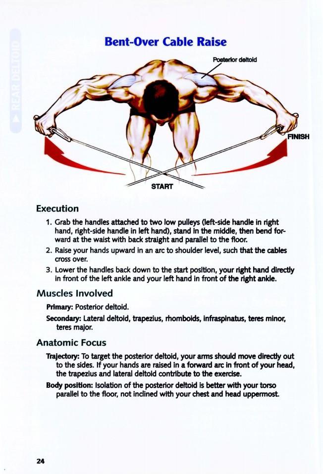 The Anatomy of Bodybuilding - photo 25