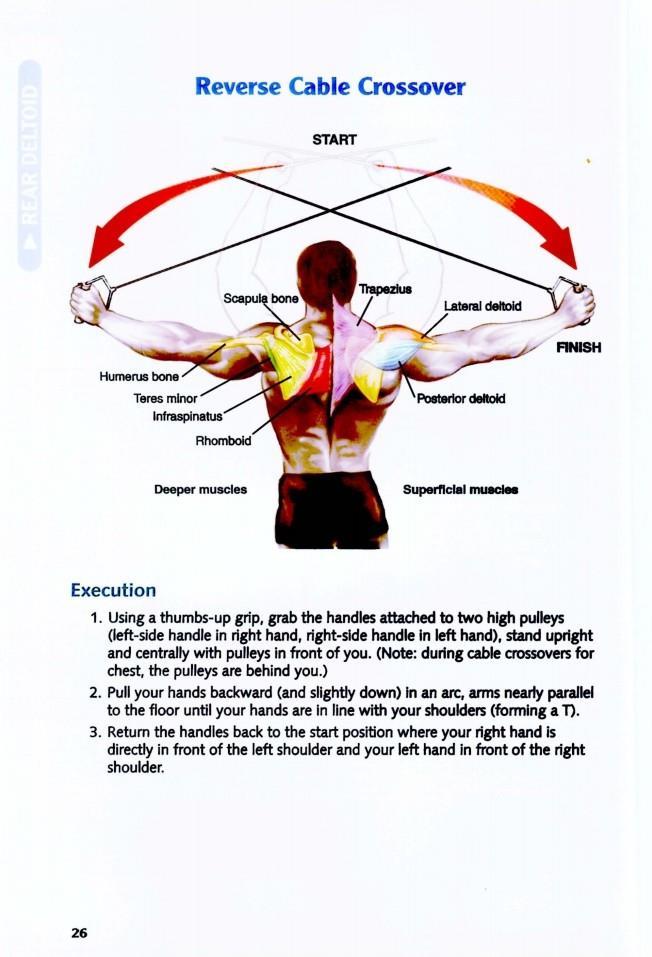 The Anatomy of Bodybuilding - photo 27