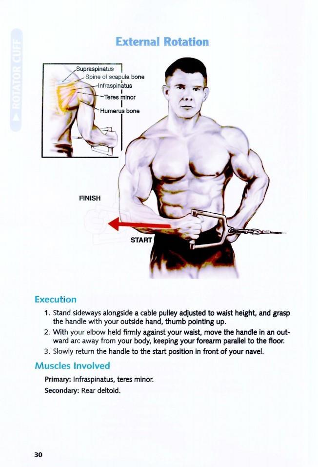 The Anatomy of Bodybuilding - photo 31