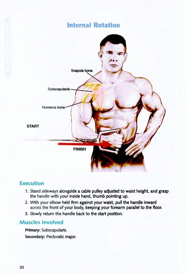 The Anatomy of Bodybuilding - photo 33