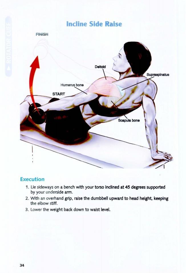 The Anatomy of Bodybuilding - photo 35