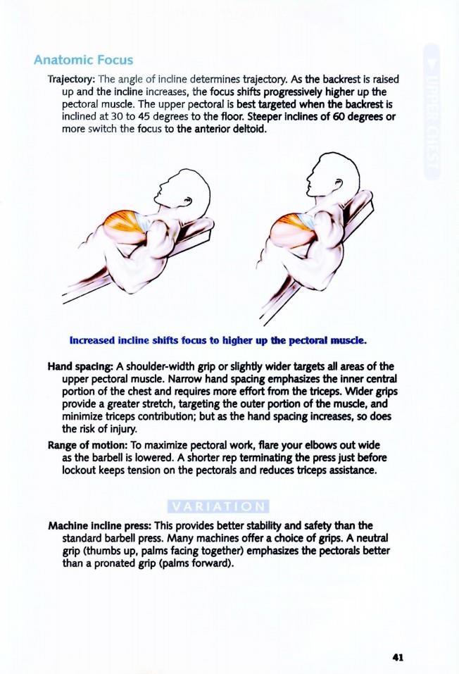 The Anatomy of Bodybuilding - photo 41