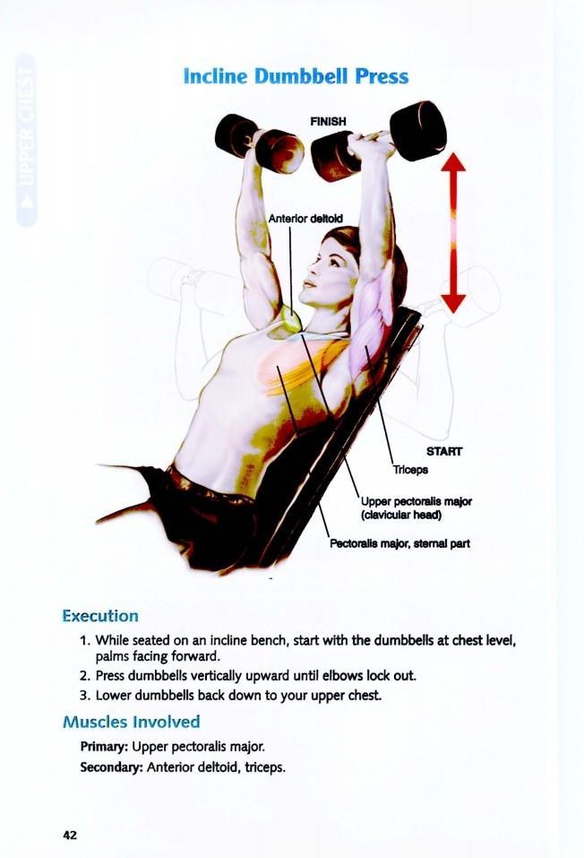 The Anatomy of Bodybuilding - photo 42