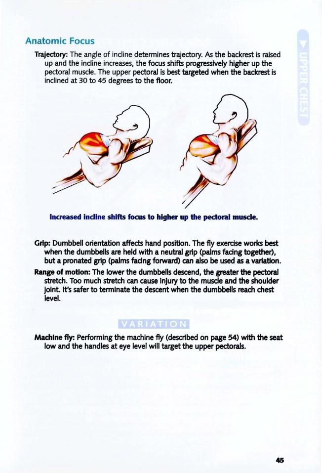 The Anatomy of Bodybuilding - photo 45