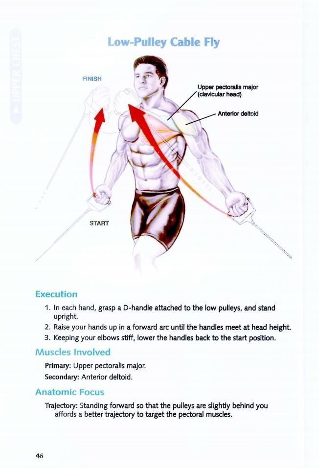 The Anatomy of Bodybuilding - photo 46