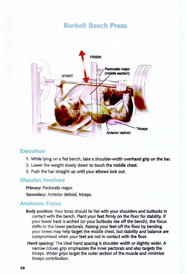 The Anatomy of Bodybuilding - photo 48