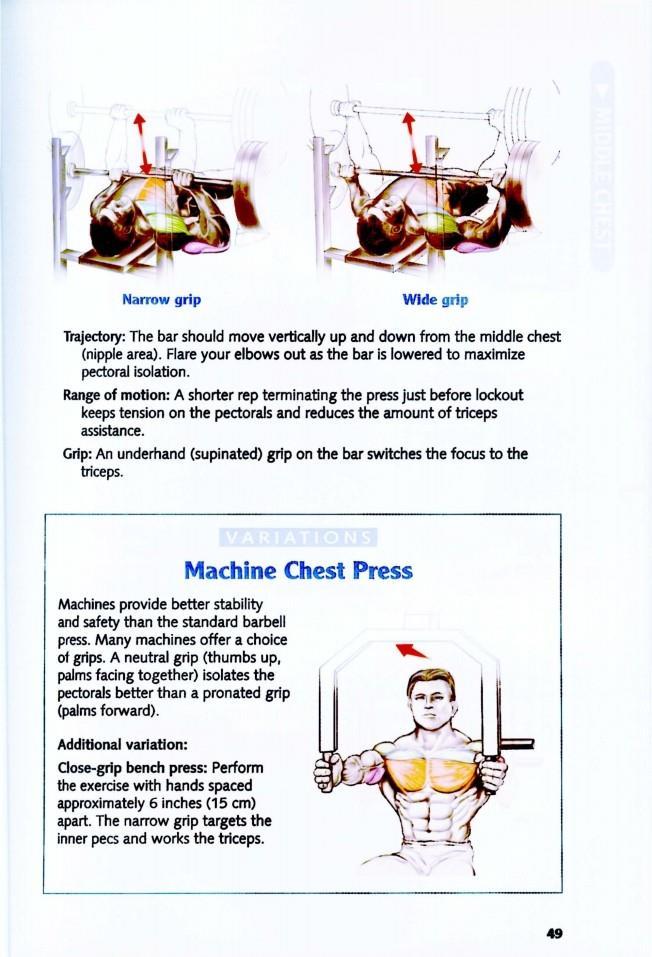 The Anatomy of Bodybuilding - photo 49