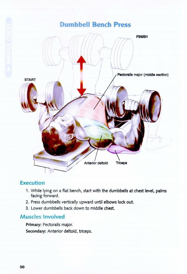 The Anatomy of Bodybuilding - photo 50