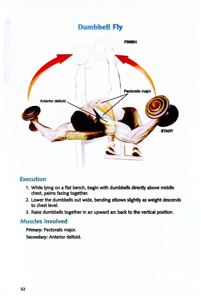 The Anatomy of Bodybuilding - photo 52