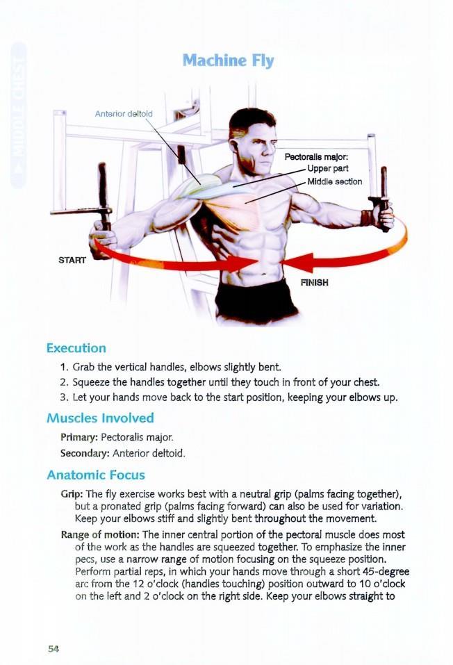 The Anatomy of Bodybuilding - photo 54