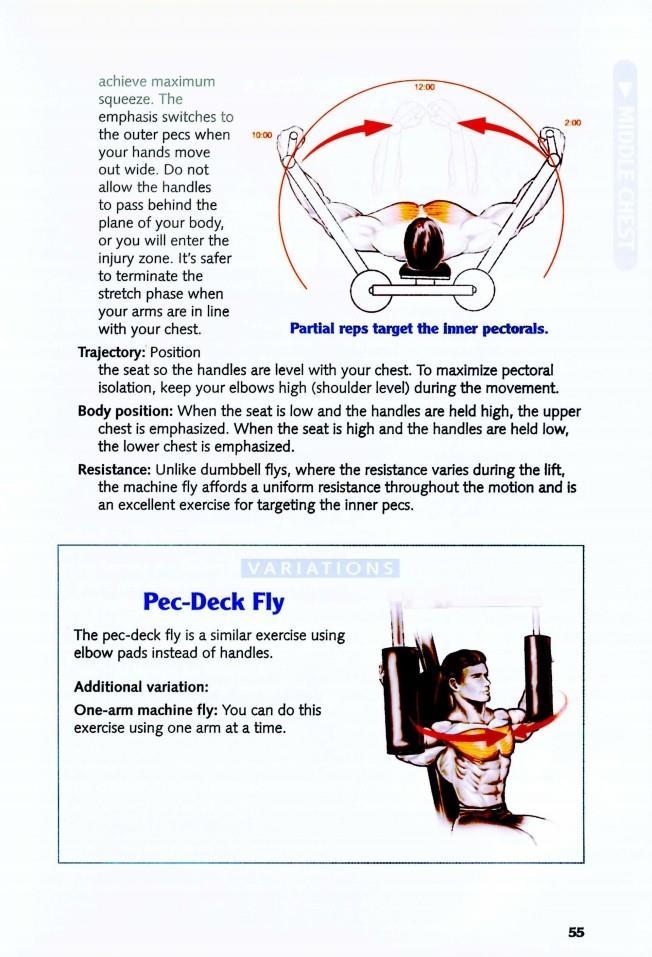 The Anatomy of Bodybuilding - photo 55