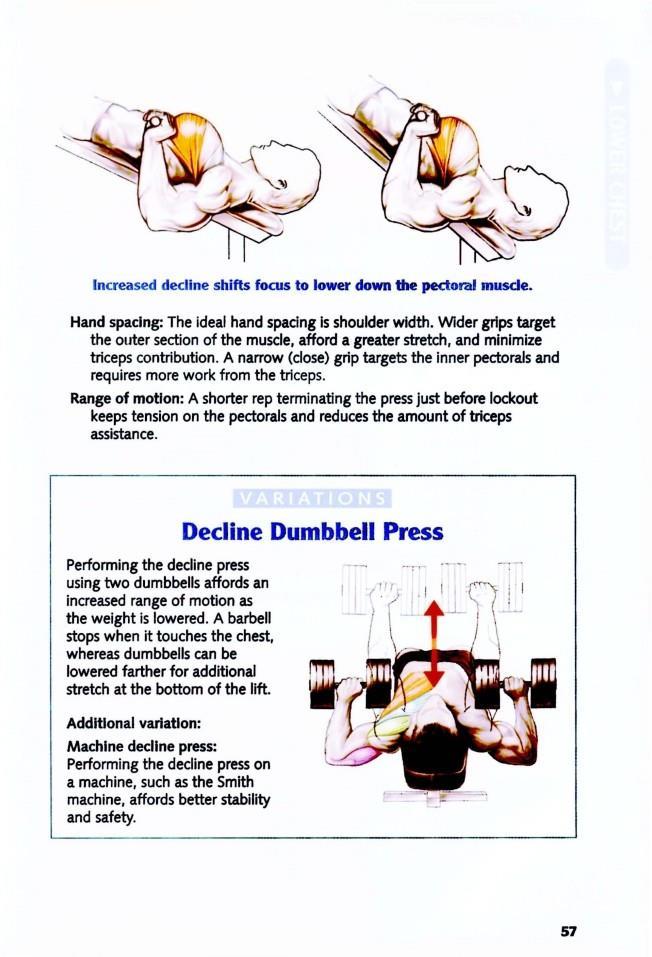 The Anatomy of Bodybuilding - photo 57