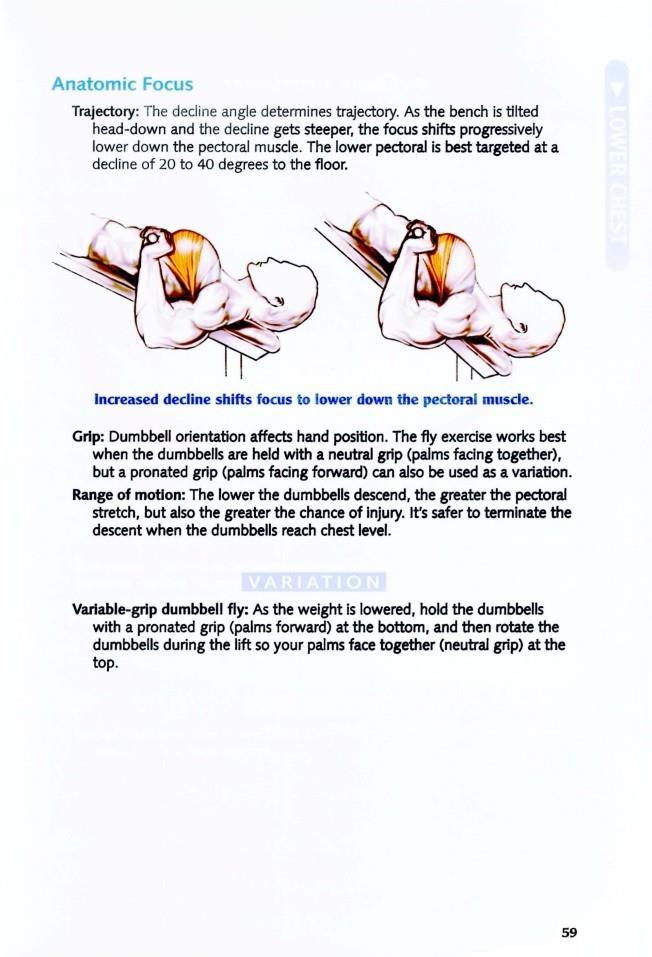 The Anatomy of Bodybuilding - photo 59