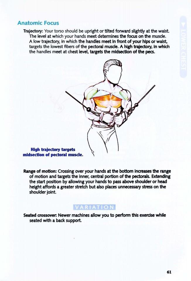 The Anatomy of Bodybuilding - photo 61