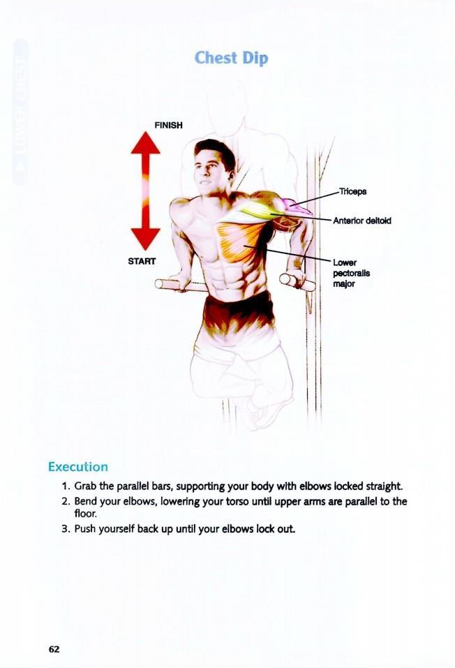 The Anatomy of Bodybuilding - photo 62