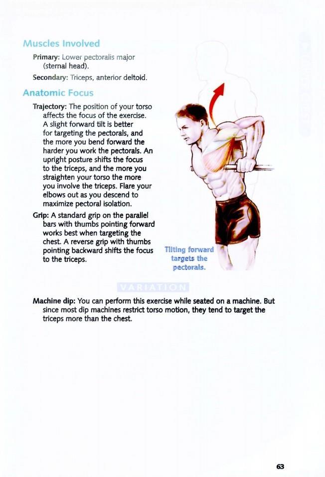 The Anatomy of Bodybuilding - photo 63