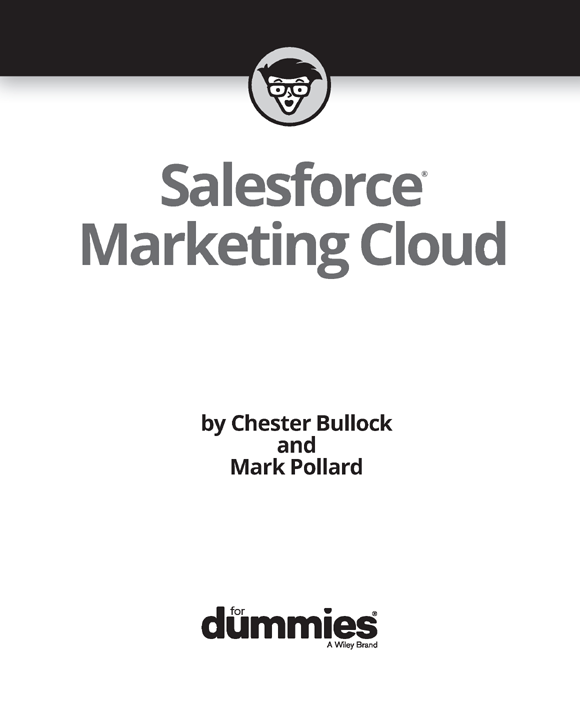 Salesforce Marketing Cloud For Dummies Published by John Wiley Sons Inc - photo 2