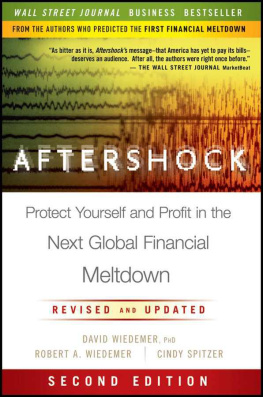 David Wiedemer - Aftershock: Protect Yourself and Profit in the Next Global Financial Meltdown