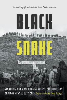 Katherine Wiltenburg Todrys - Black Snake: Standing Rock, the Dakota Access Pipeline, and Environmental Justice