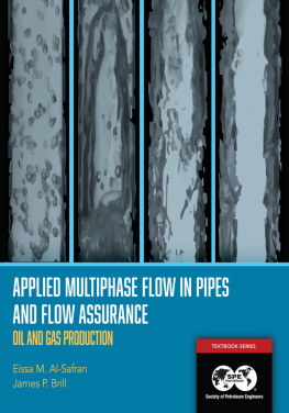 Eissa Al-Safran - Applied Multiphase Flow in Pipes and Flow Assurance - Oil and Gas Production: Textbook 14