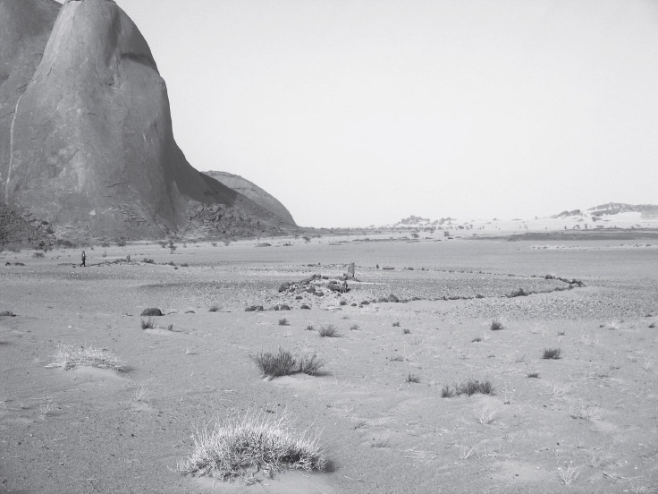 For the people of Western Sahara Acknowledgements The authors are grateful to - photo 3