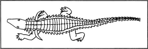 CHAPTER 1 Introduction Fossils and Phylogeny The history of vertebrate life is - photo 5