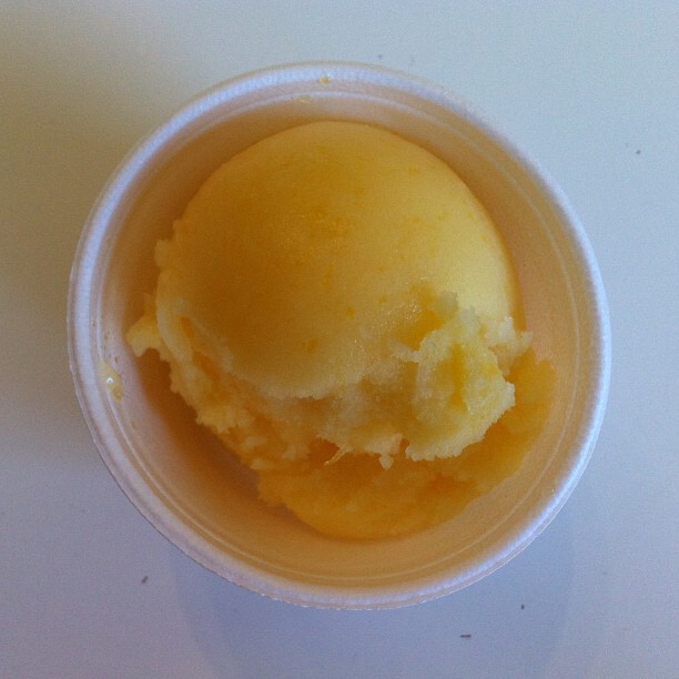 For this sweet Pineapple Peach Sorbet recipe Id ditch the sugar syrup and add - photo 11