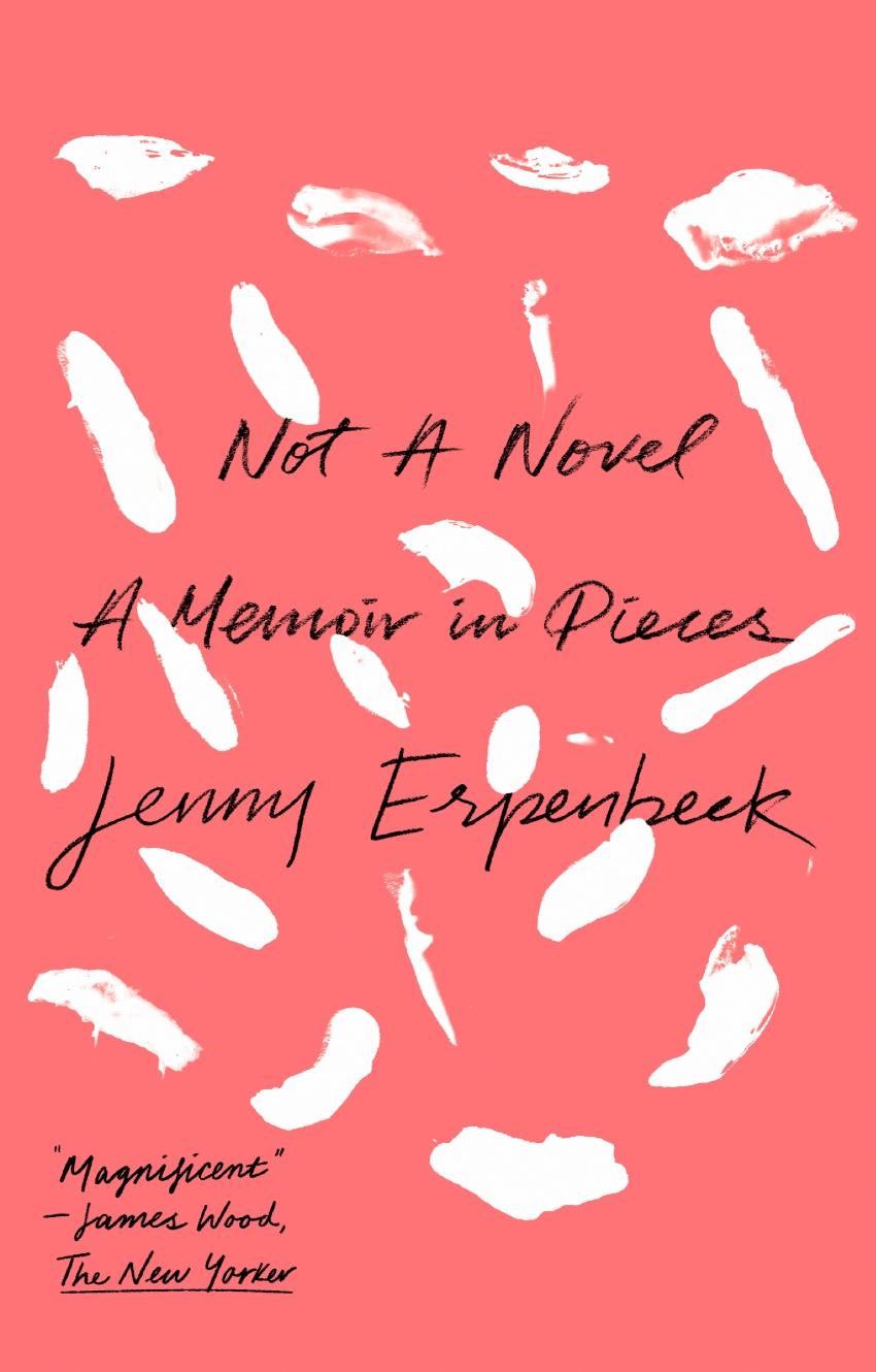 NOT A NOVEL Also by Jenny Erpenbeck The Book of Words The End of Days - photo 1