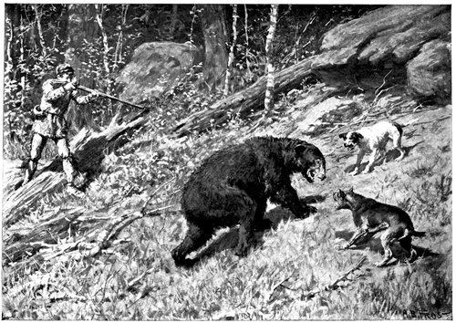 Balser was more fortunate in his aim and gave the bear a mortal wound The - photo 2