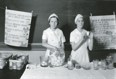 Preserving eggs circa 1940s Louis Edward Nollau Nitrate Photographic Print - photo 1