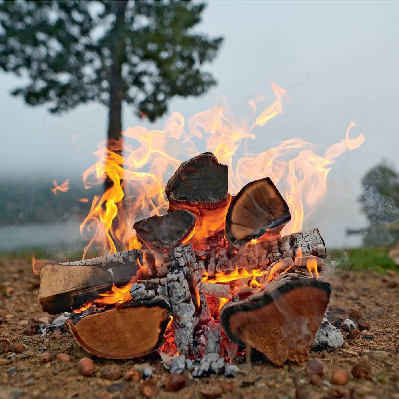 If I am honest my fire cooking journey started while watching television - photo 8