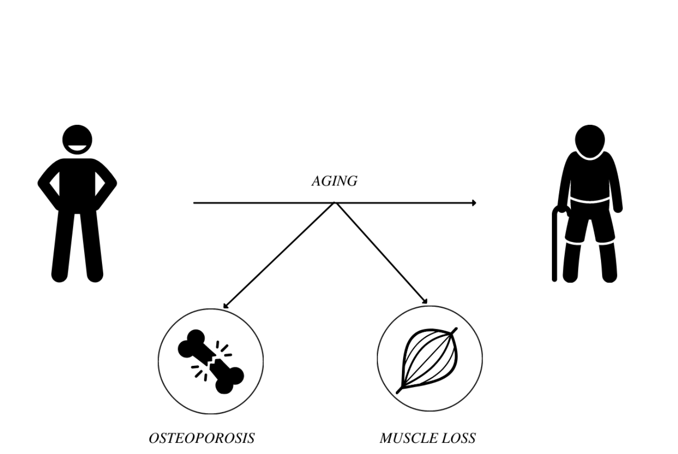 Resistance training does have health effects and an emerging study shows that - photo 4