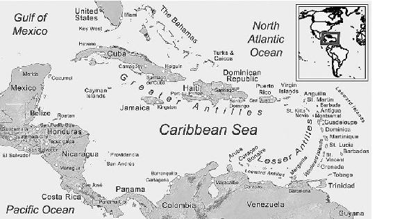 The CORNISH in the CARIBBEAN From the 17th to the 19th Centuries Sue - photo 1