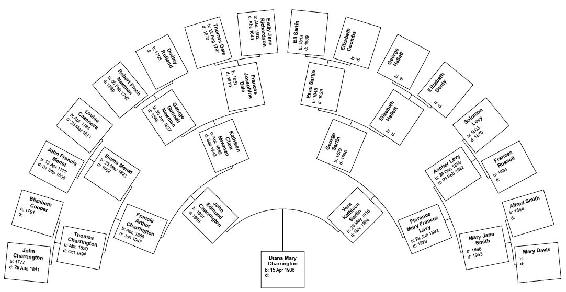 Fan chart for Diana Mary Charrington My interest in the Charringtons had been - photo 1