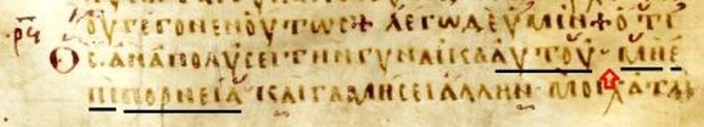 Figure 17 uncial Greek New Testament Manuscript number 013 Codex Seidelianus - photo 20