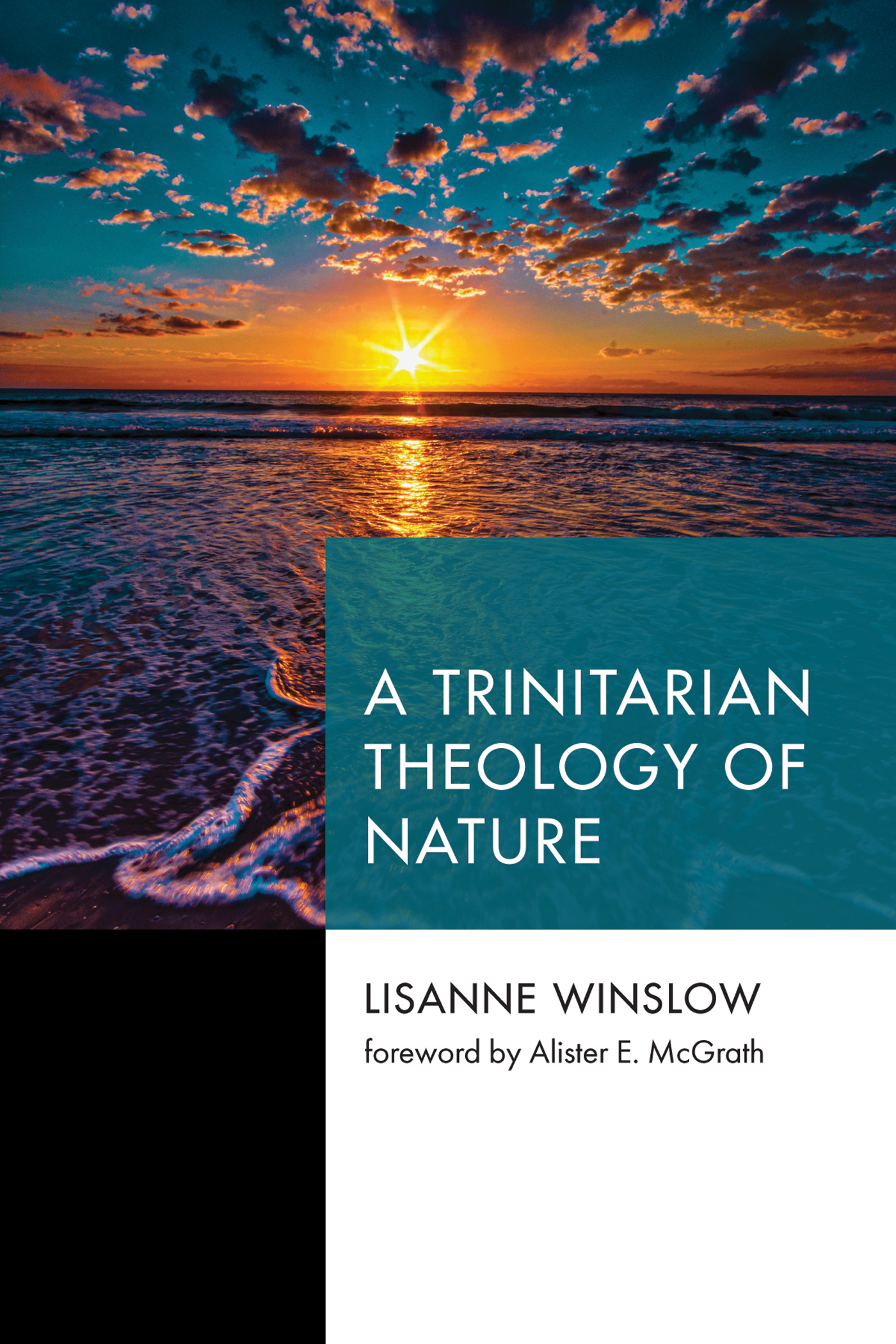 A Trinitarian Theology of Nature Lisanne Winslow with a foreword by Alister - photo 1