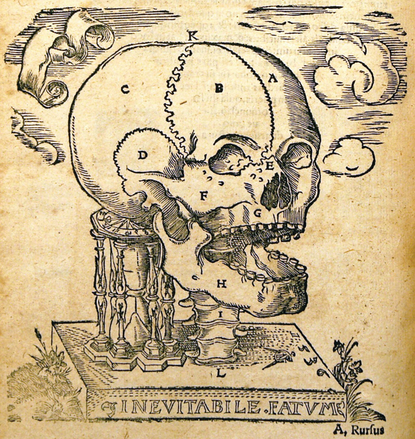 Fig 13 Drawings of the human skull illustrating the sutures of the calvaria - photo 5