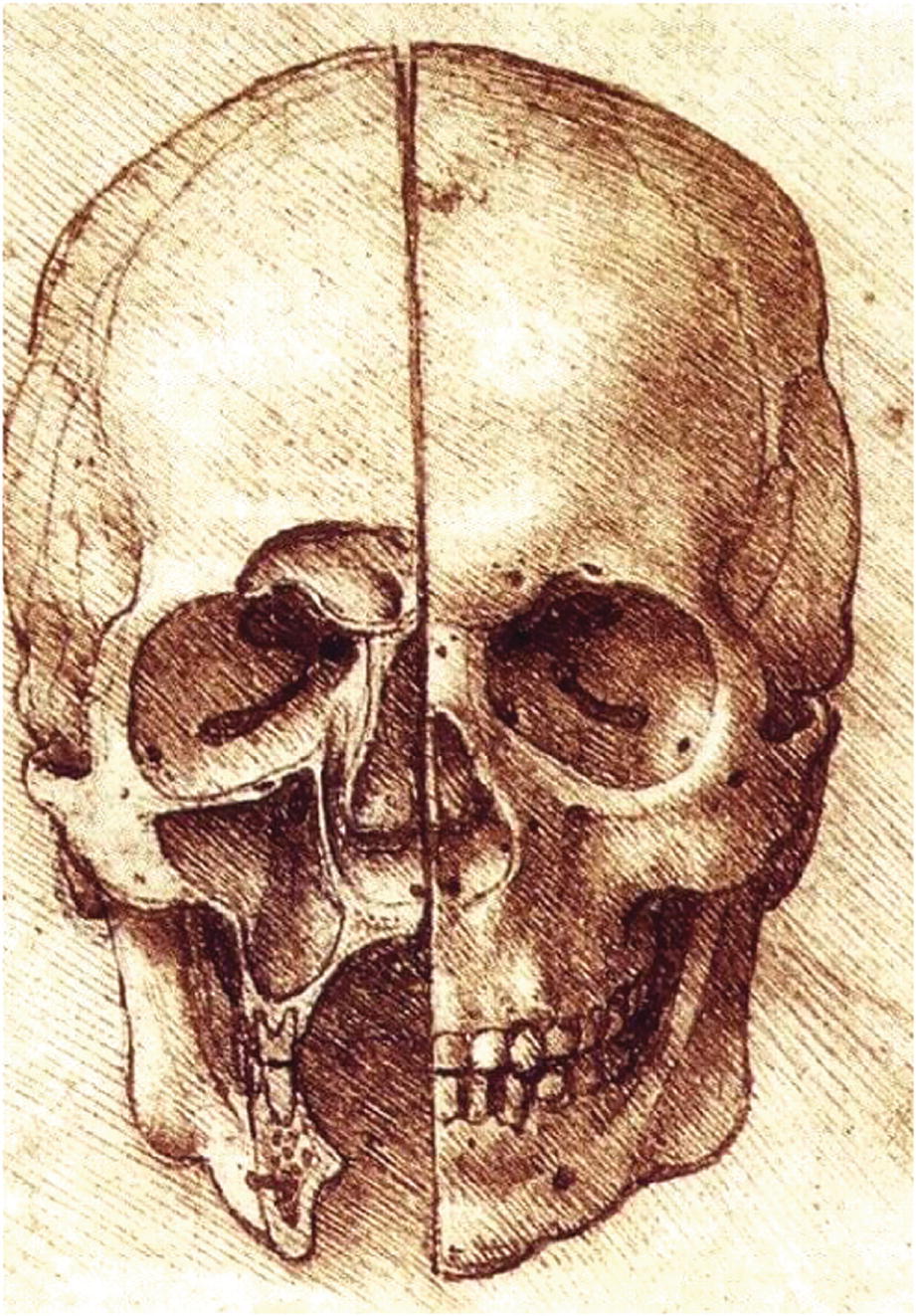 Fig15 Drawing by Leonardo da Vinci 14521519 noting the coronal sutures - photo 7