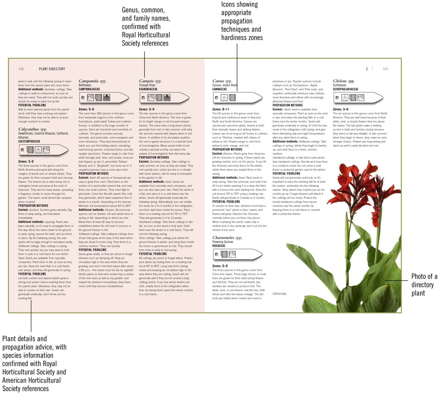 TOOLS AND TECHNIQUES In nature plants propagate themselves without using - photo 10