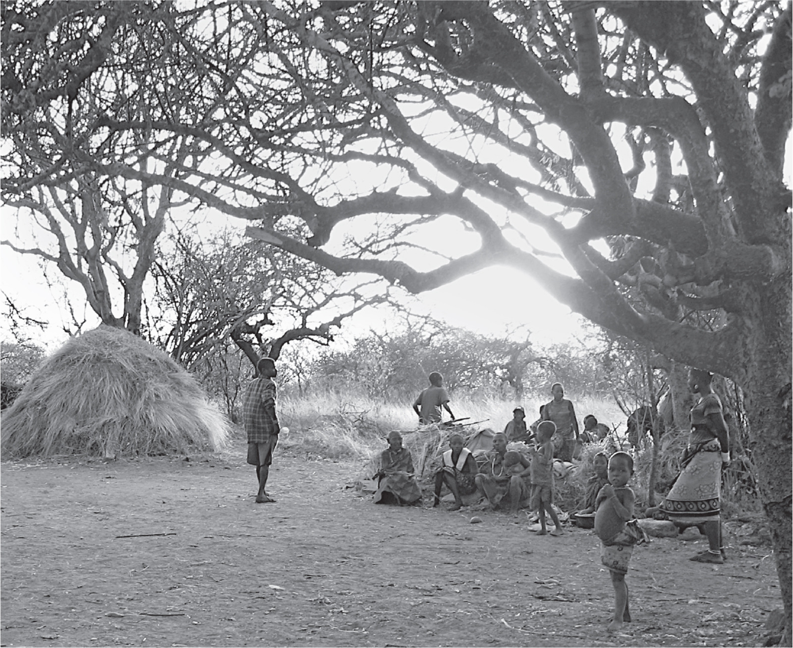 Figure 11 Early evening in a Hadza camp Acacia trees provide a shady oasis - photo 4