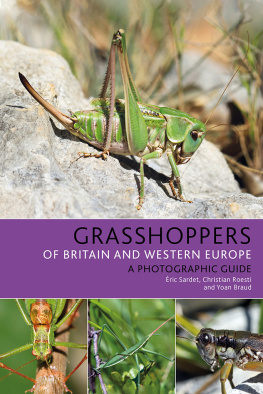 Éric Sardet Grasshoppers of Britain and Western Europe: A Photographic Guide