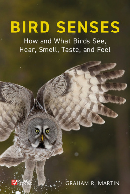 Graham Martin Bird Senses: How and What Birds See, Hear, Smell, Taste and Feel