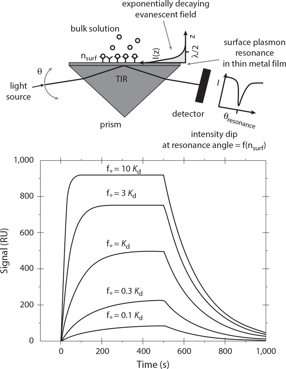 Schematic diagram and example data from a biosensor that detects complex - photo 1