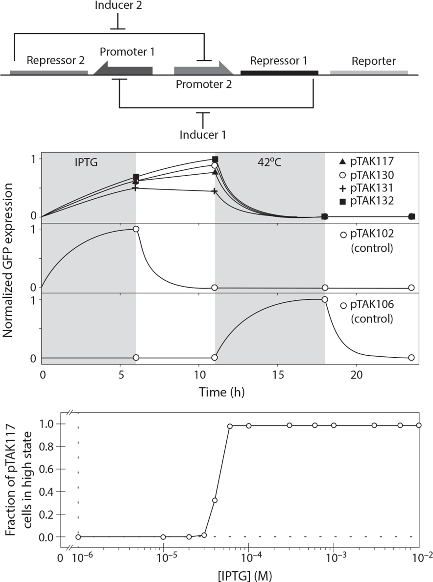 Design and performance of a synthetic gene expression switch Incorporation of - photo 3