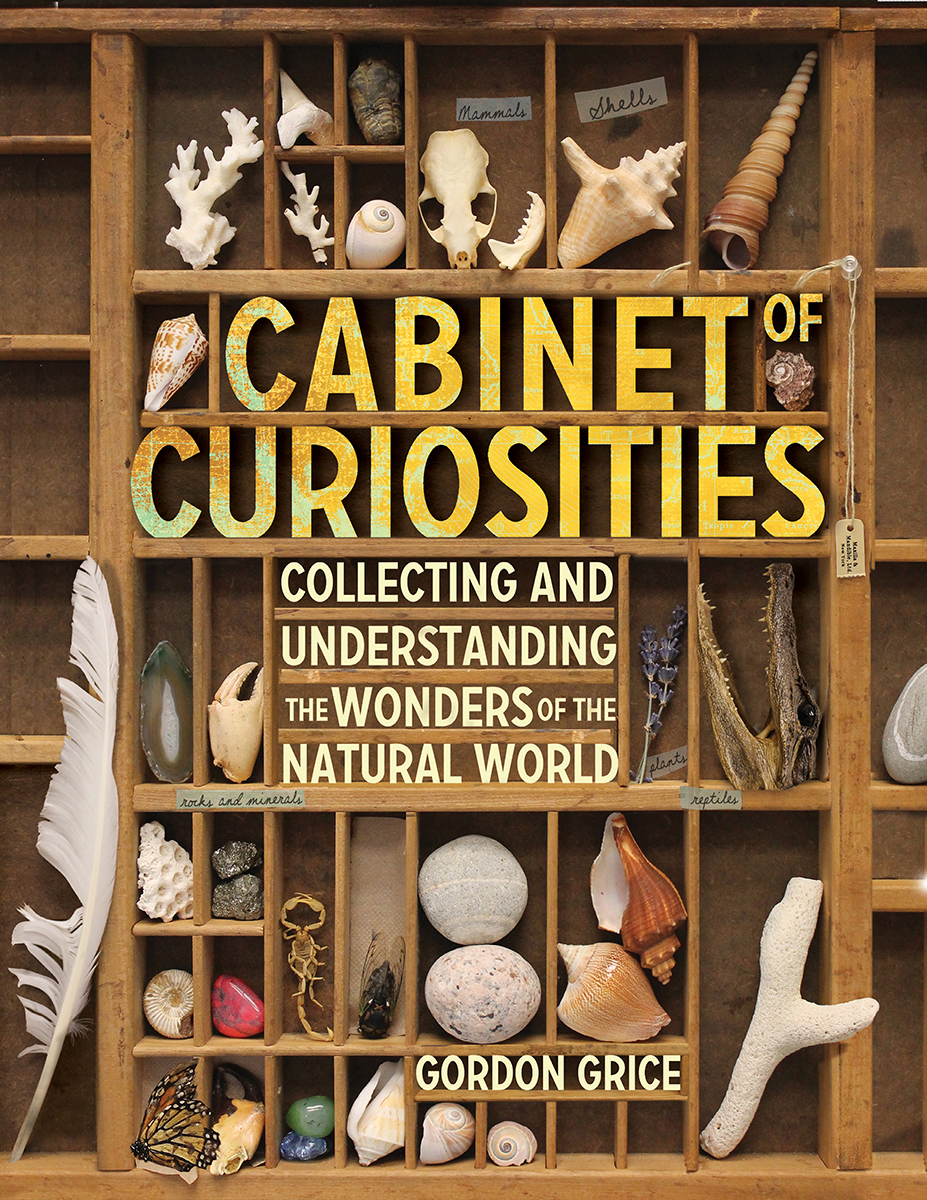 Cabinet of Curiosities Collecting And Understanding The Wonders of The Natural - photo 1