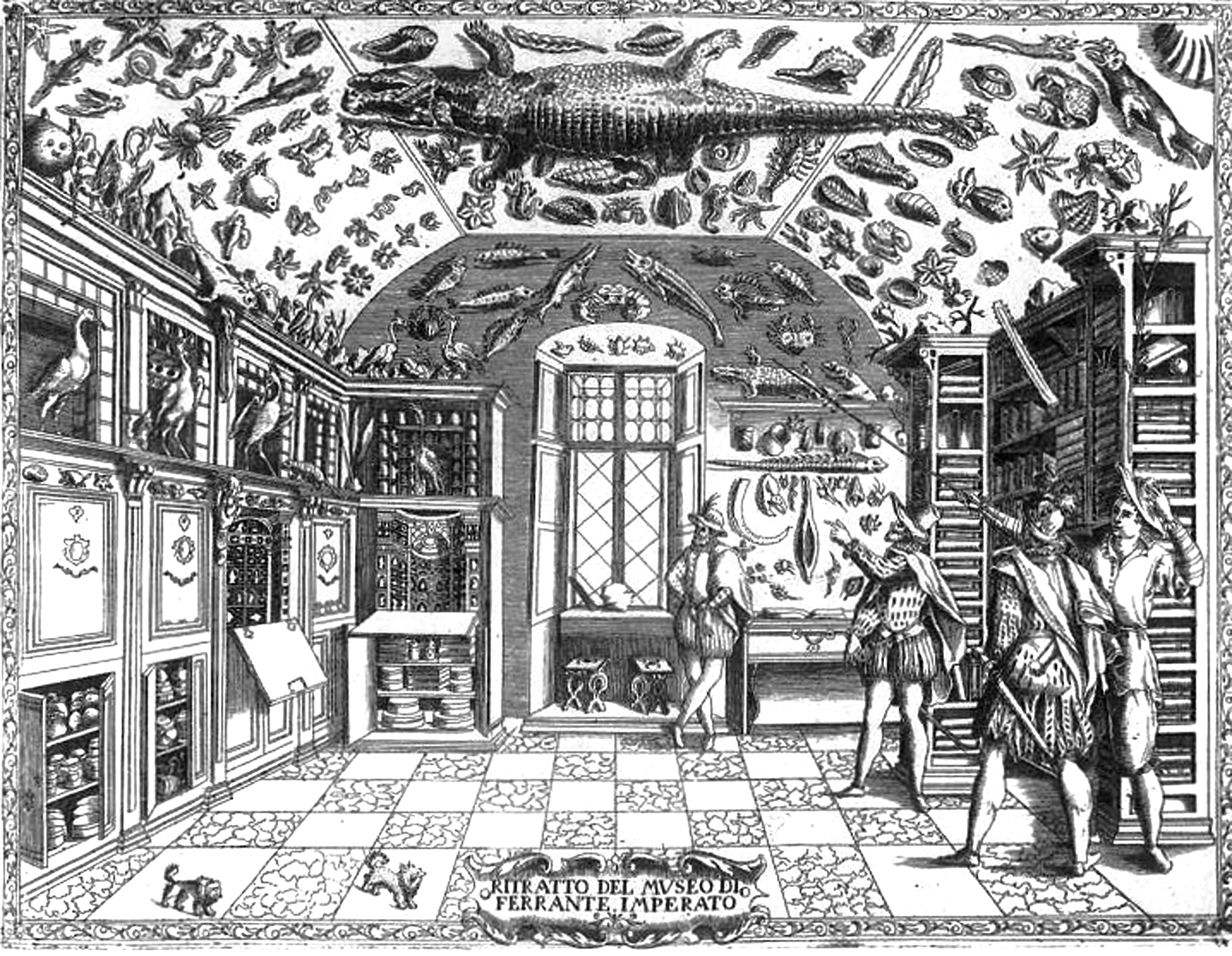 This engraving from Ferrante Imperatos Dellhistoria naturale Naples 1599 - photo 3