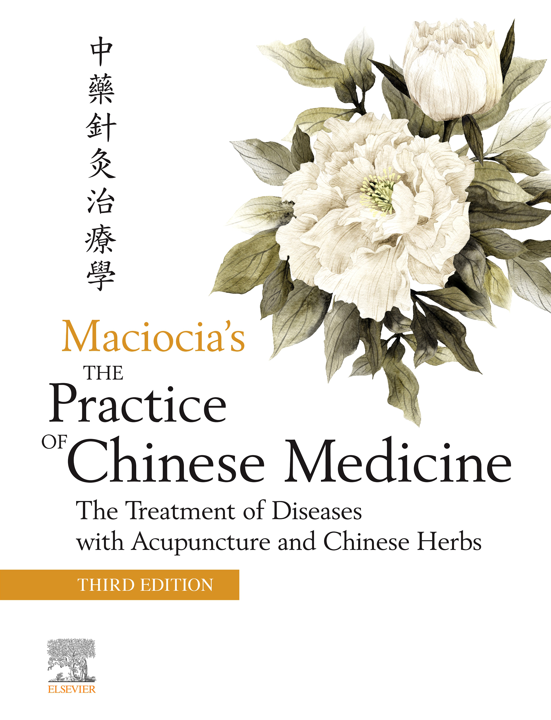 Maciocias The Practice of Chinese Medicine The Treatment of Diseases with - photo 1