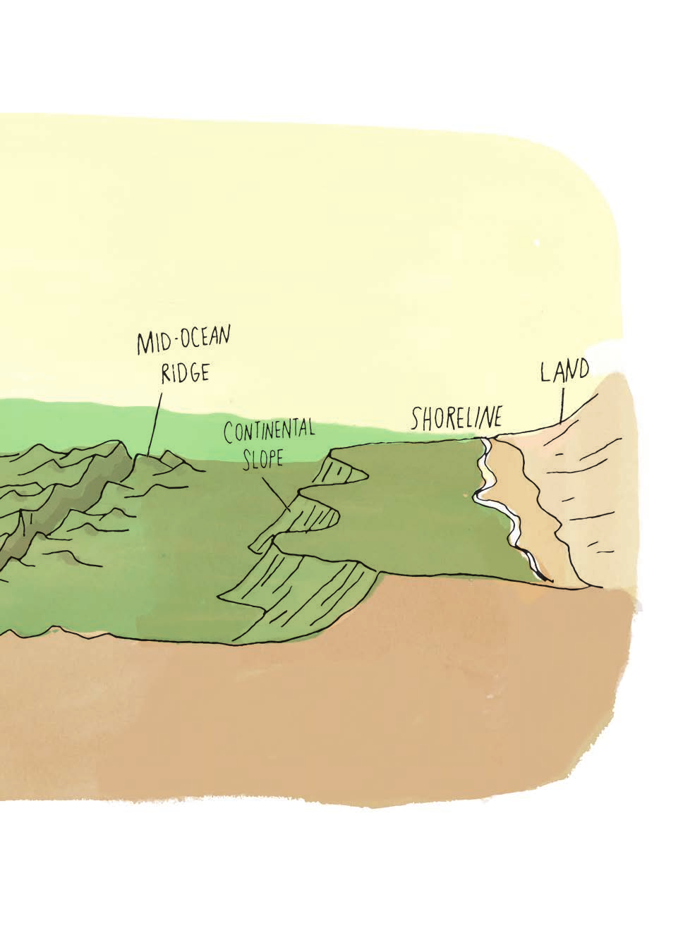 Seamounts are volcanic mountains that arise from the ocean floor without - photo 22